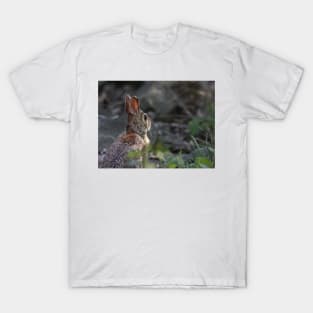 What may come of the day - Rabbit T-Shirt